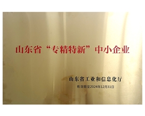 山東省“專(zhuān)精特新”中小企業(yè)
